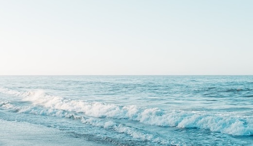 MySQL5.5で携帯の絵文字対応の為に文字コードをutf8mb4にする方法