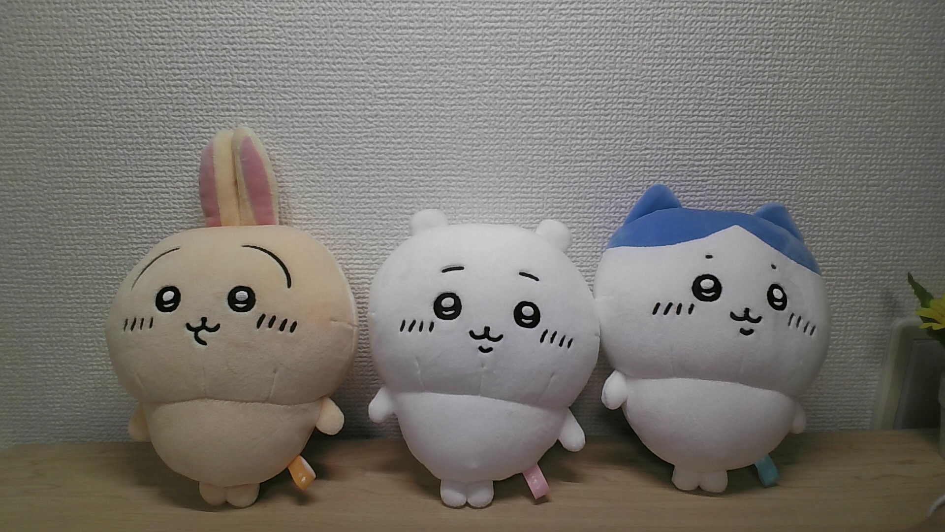 WIN_20260227_11_04_54_Pro