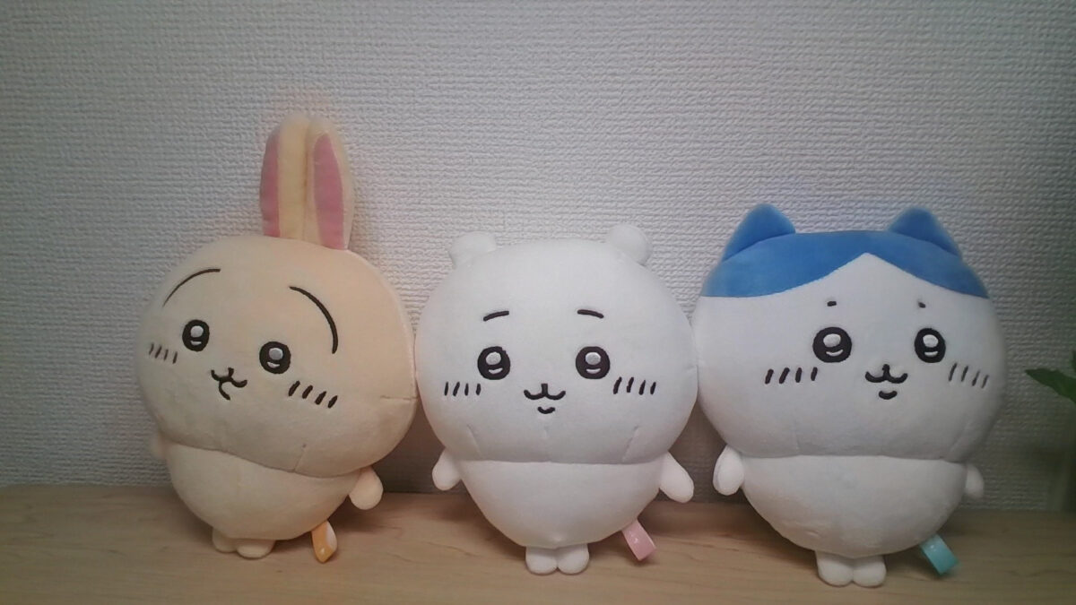 内蔵カメラで撮影したぬいぐるみ