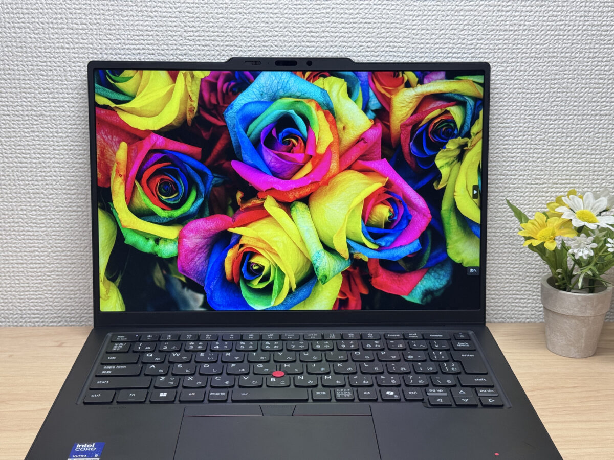 発色を確認する薔薇の写真表示