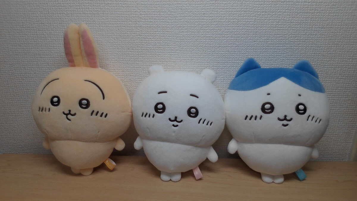 Webカメラで撮影したぬいぐるみ